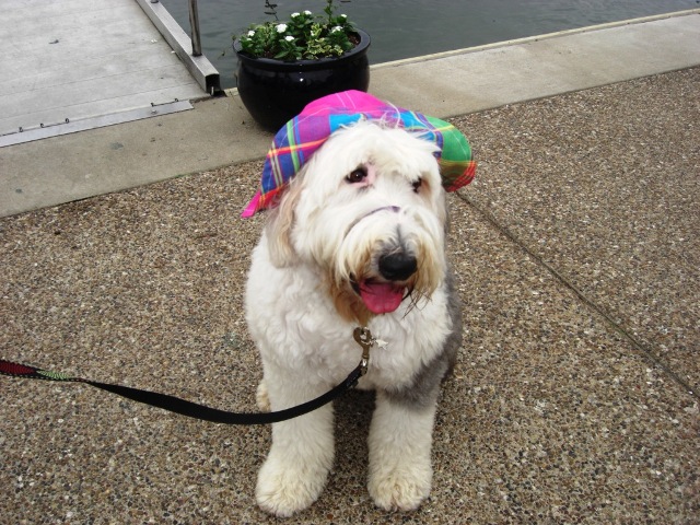 /images/events/12/Genevieve at the boat dock.JPG